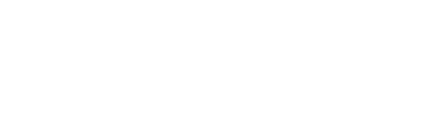 BforBagel 404 LOT FINE